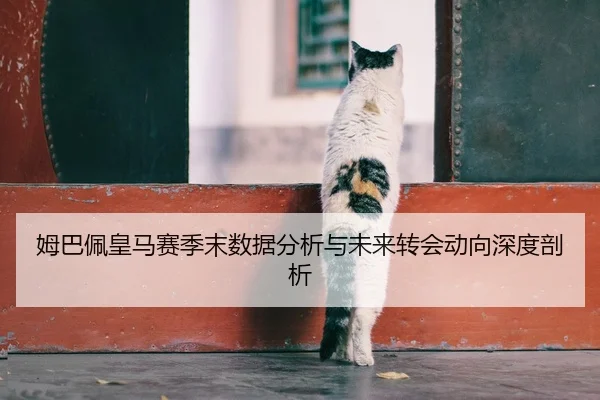 姆巴佩皇马赛季末数据分析与未来转会动向深度剖析